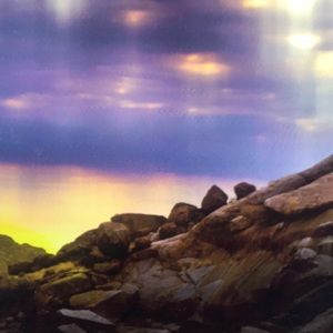 Meet your Posher, Darnell